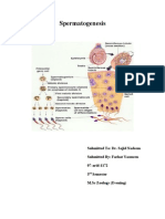 Spermatogenesis