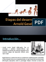 Etapas Del Desarrollo de Arnold Gesell