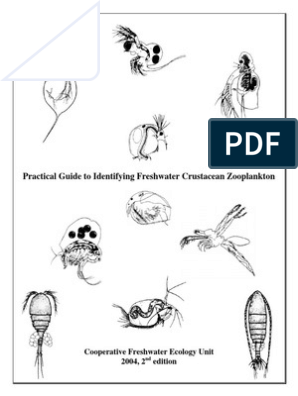 Zooplankton of the Great Lakes: A Guide to the Identification and Ecology  of the Common Crustacean Species (9780299098209): Mary D. Balcer, Nancy L.  Korda and Stanley I. Dodson - BiblioVault