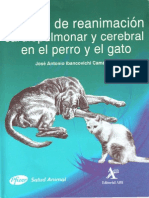 Manual de Reanimacion Cardiopulmonar y Cerebral en El Perro y El Gato
