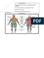 PJM3106 Nota Ringkas