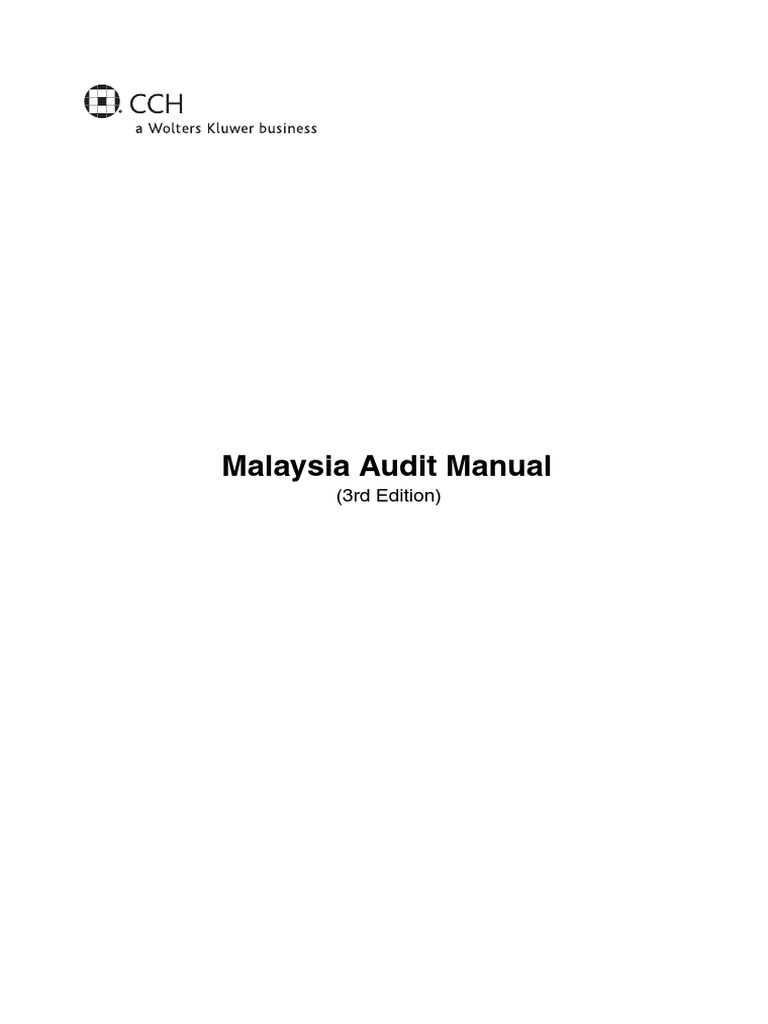 Audit Manual Financial Audit Audit