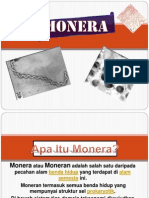 Monera