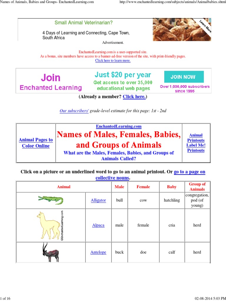 names-of-animals-babies-and-groups-enchantedlearning-pdf-sheep