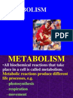 Metabolism