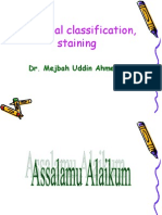 Bacterial Classification, Staining