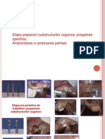 Etapa Prepararii Substructurilor Organice