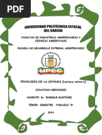 Download Fenologa de La Lechuga by jon2011alex SN235709583 doc pdf