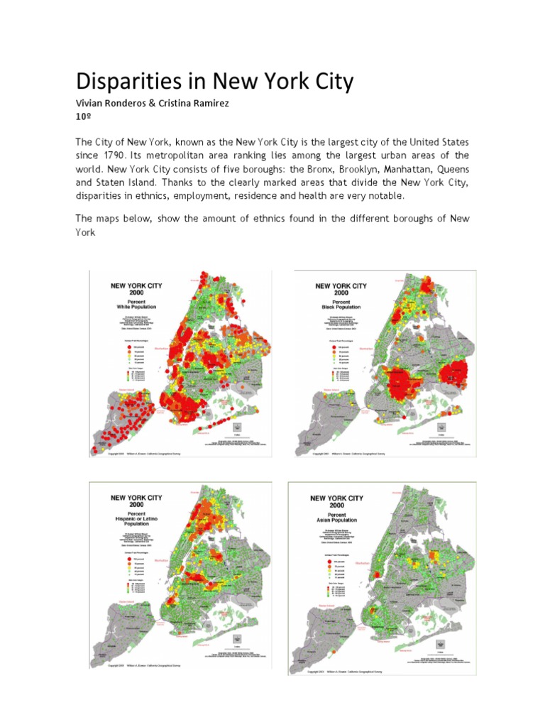 Disparities in New York | Race And Ethnicity In The United States ...