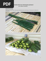 Mescaline HCL From Echinopsis Pachanoi