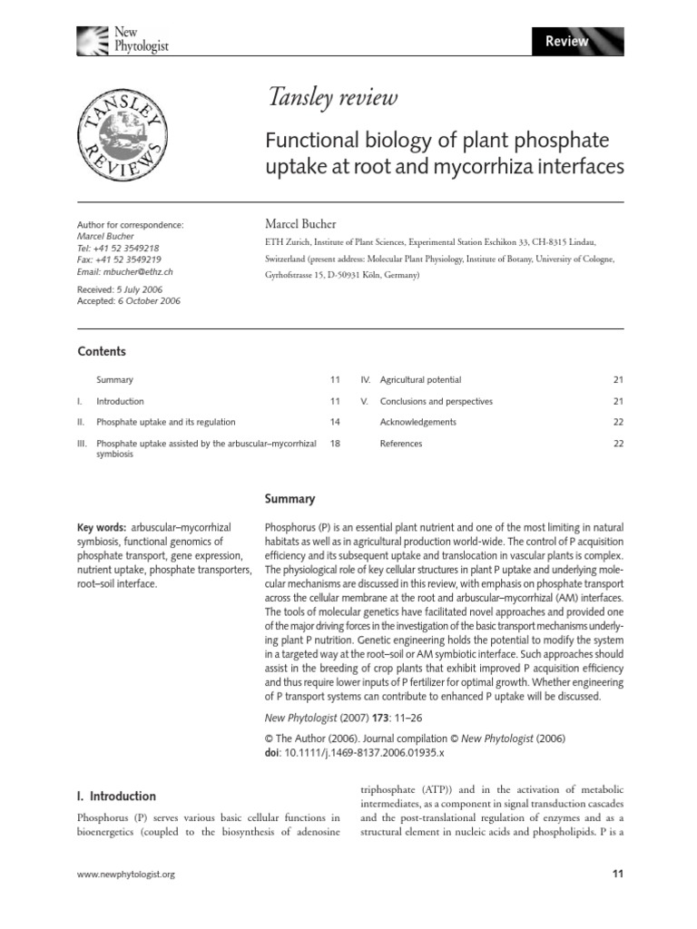 Functional Biology Of Plant Phosphate Uptake At Root And
