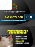 Tema de Exposición de Parasitologia Balantidium Coli.