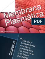 Membrana Plasmatica