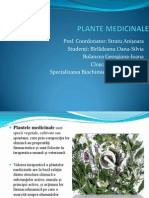 209445264-Plante-Medicinale.ppt
