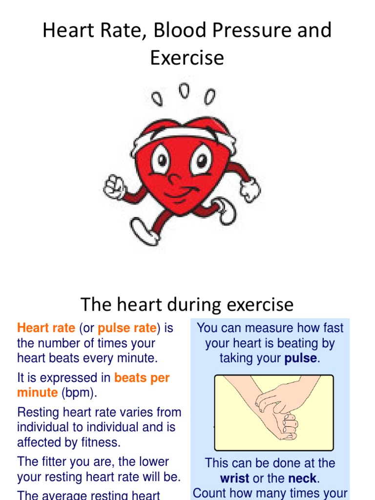 Heart Rate, Blood Pressure and Exercise | PDF | Blood Pressure | Heart Rate