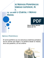 144556713 Lesion de Nervios Perifericos Mediano Ulnar y Radial