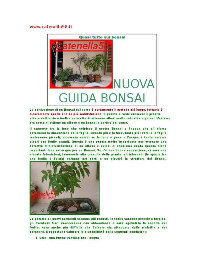 Guida Bonsai PDF