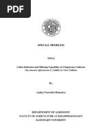 Download Callus Induction and Tillering Capability of 4 Sugarcane Cultivars Saccharum officinarum L under In Vitro Culture by Arghya Narendra Dianastya SN235743618 doc pdf