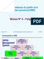 Oaci Sms m04 - Peligros (r13) 09 (S)