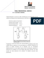 Ejercicios para Charnela Mediodorsal Marcha