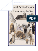 Adestramento de Cães