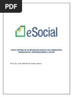 E-Social Novo Sistema Apostila Nova