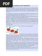 La Cura en Un Minuto