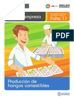 Ficha Extendida 11 Produccion de Hongos Comestibles