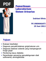 Download bahan kuliah Lab URINpptx by Dudy Humaedi SN235767219 doc pdf