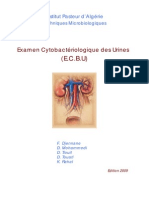 62731639 Examen Cytobacteriologique Des Urines IPA