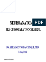 Neuroanatomia Para Interpretrar Tac