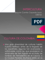 Inter Cultura