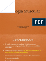 musculo-1