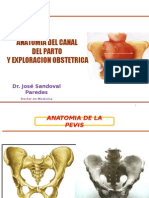 Anatomia de La Pelvis 2