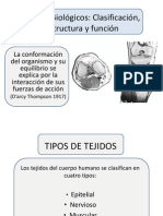 TejidosBiolgicosestructura.ppt