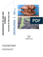 Guia de Practica Patologia I-2013-II