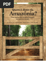 Quem é o Dono da Amazonia