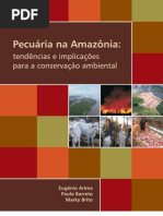 Pecuaria na Amazonia
