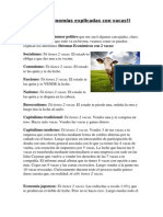 Explicación de economía con dos vacas.pdf
