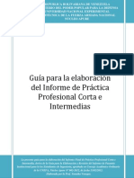 Guia Practica Profesional Corta 2012 (1)