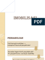 CSS Imobilisasi