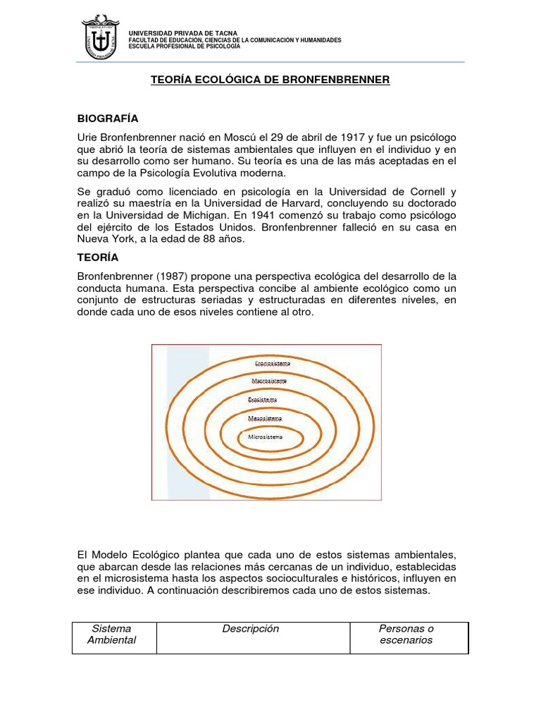 Teoría Ecológica De Bronfenbrenner Pdf Biología Sicología