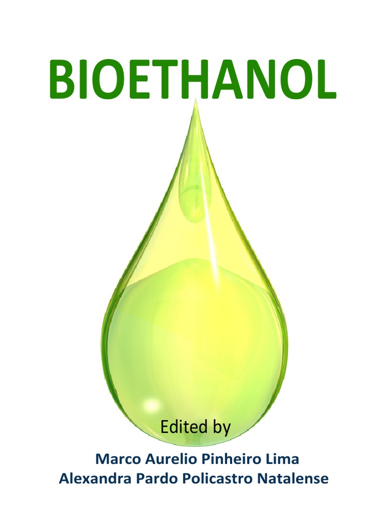 Bio Ethanol | PDF | Starch | Biofuel