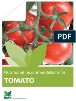 Tomato Fertigation Guide