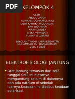 Download elektrofisiologi jantungII by rahmani SN23583950 doc pdf