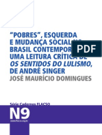 FLACSO Domingues Singer.pdf