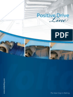 Positive Drive 2010.PDF