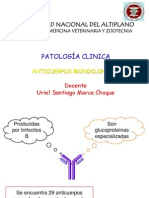 Anti Cuerpos Monoclonal Es