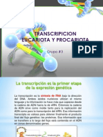 EXPOSICION BIOLO TRANSCRIPCION