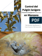 Control Del Pulgón Lanígero en Manzano: Eriosoma Lanigerum